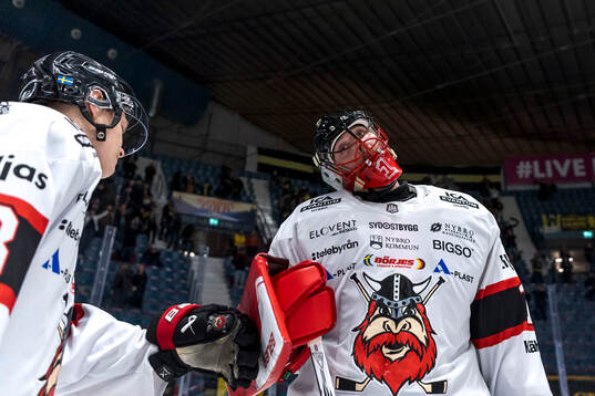 Nybro Vikings målvakt Tex Williamsson deppar