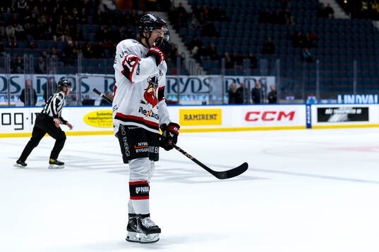 Nybro Vikings Leo Sahlin Wallenius deppar