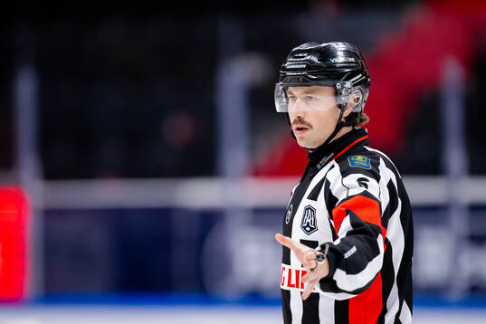 Domare Robin Jacobsson