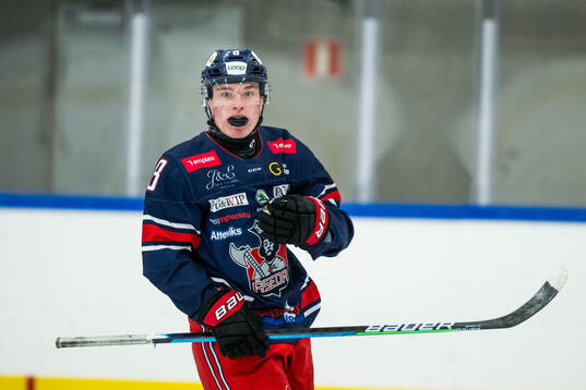Åsedas Alwin Stålgren