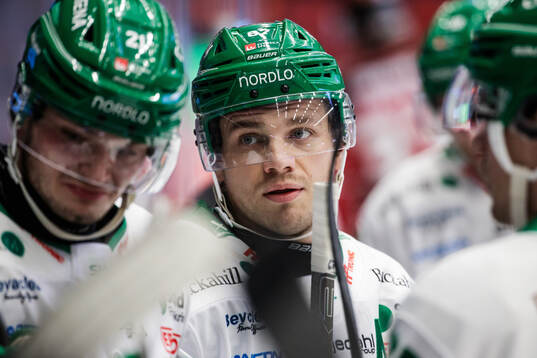 Rögles Leon Bristedt