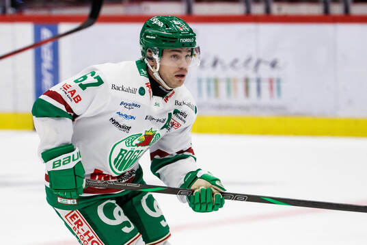 Rögles Leon Bristedt