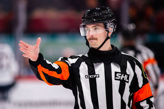 Domare Filip Eriksson