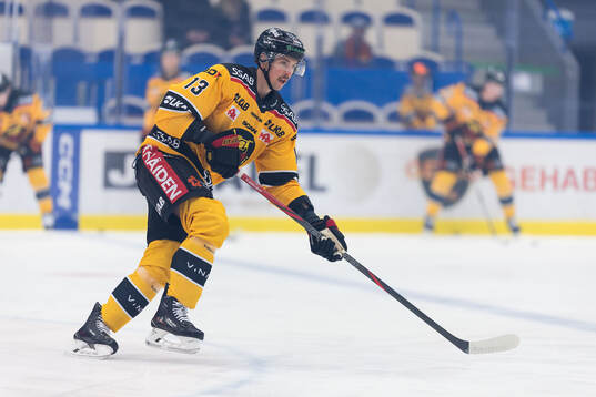 Under ishockeymatchen i SHL mellan Växjö och Luleå