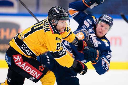 Luleås Brendan Shinnimin och Växjös Ludvig Nilsson