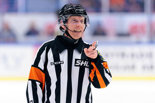 Domare Mikael Holm