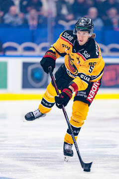 Luleås Marcus Hardegård