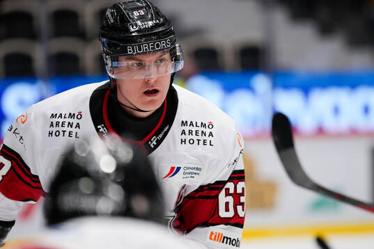 Malmö Redhawks Fredrik Händemark