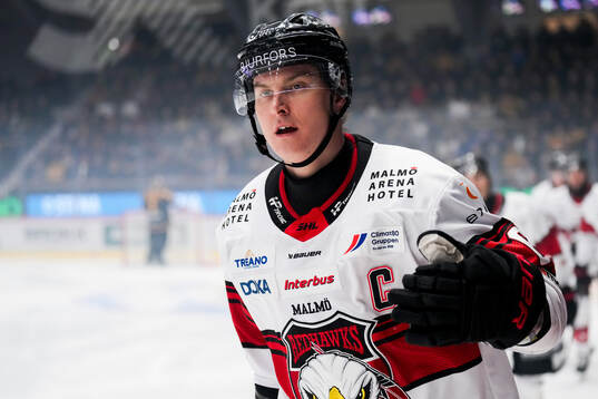 Malmö Redhawks Fredrik Händemark jublar