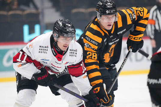 Malmö Redhawks Nikola Pasic och Skellefteås Michael