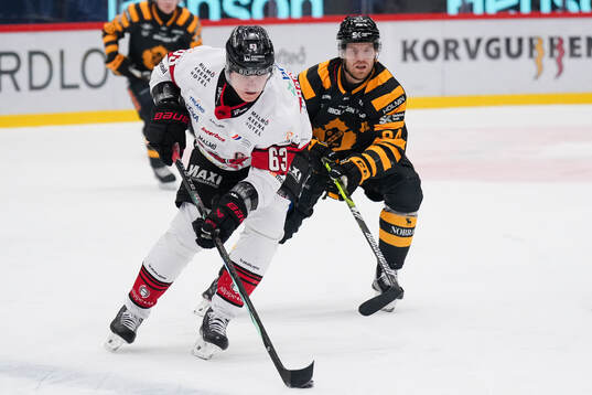 Malmö Redhawks Fredrik Händemark och Skellefteås Oscar