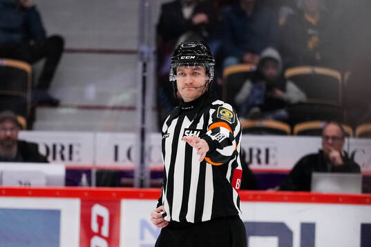 Domare Daniel Eriksson