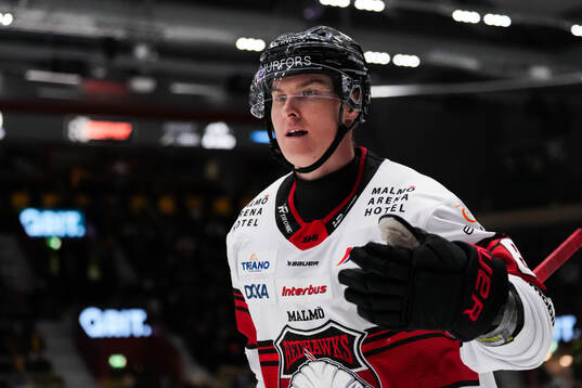 Malmö Redhawks Fredrik Händemark jublar