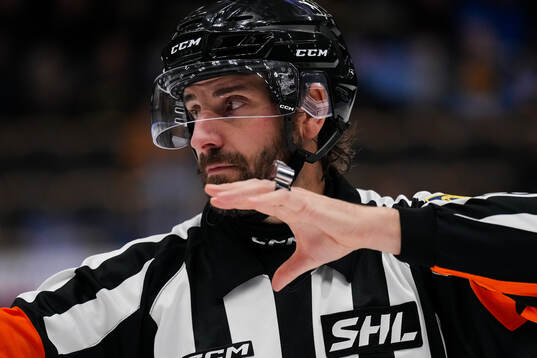 Domare Mikael Sjöqvist