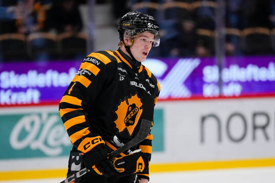 Skellefteås Rasmus Bergqvist deppar