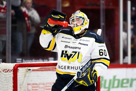 HV71s målvakt Hugo Alnefelt