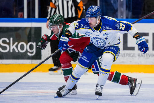 Leksands Marek Hrivik