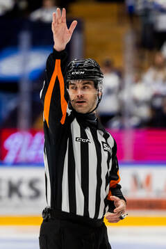 Domare Richard Magnusson