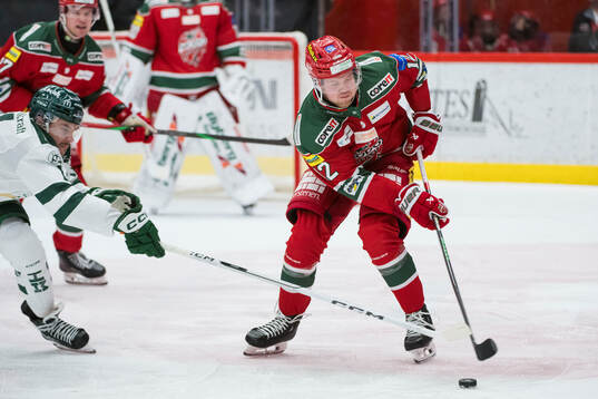 Modos Oscar Pettersson