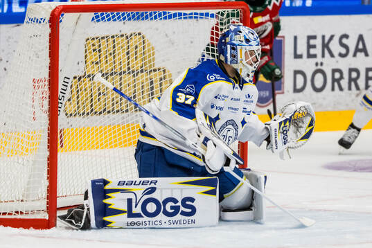 Leksands målvakt Jakob Hellsten