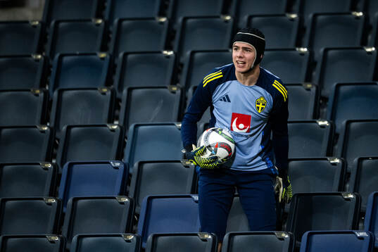 Goalkeeper Jacob Widell Zetterström of the Swedish men's