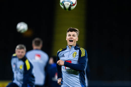 Samuel Dahl of the Swedish men's football national team at