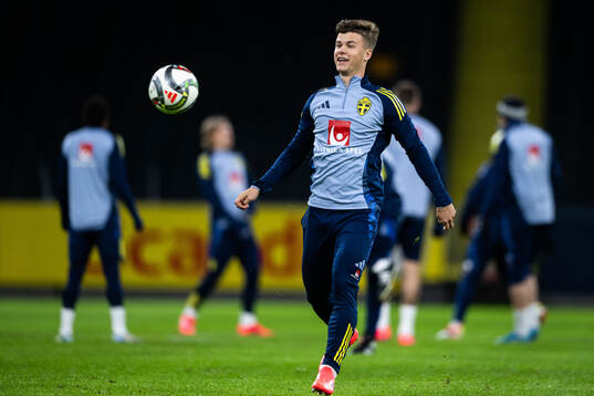 Samuel Dahl of the Swedish men's football national team at