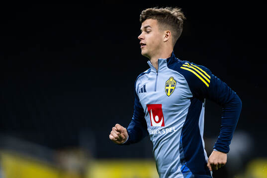 Samuel Dahl of the Swedish men's football national team at