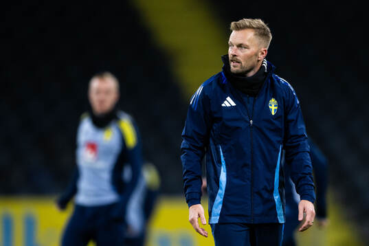 Assistant coach Sebastian Larsson of the Swedish men's