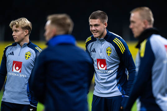 Daniel Svensson and Emil Holm of the Swedish men's football