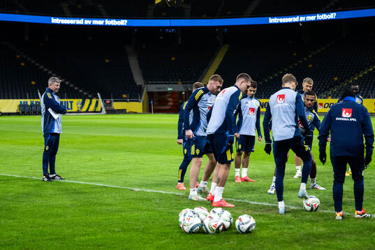 Head coach Jon Dahl Tomasson and players of the Swedish