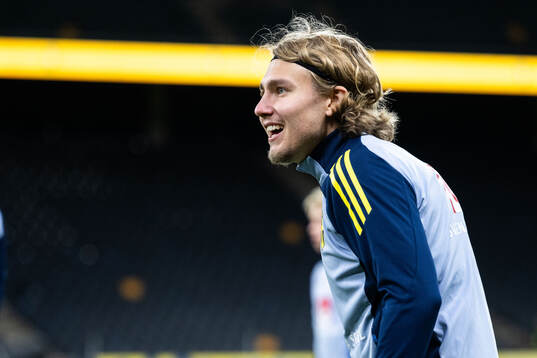 Sebastian Nanasi of the Swedish men's football national