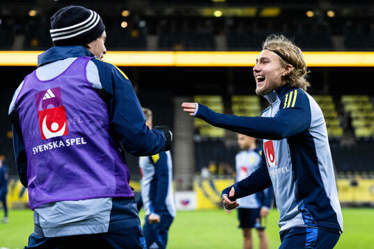 Victor Nilsson Lindelöf and Sebastian Nanasi of the