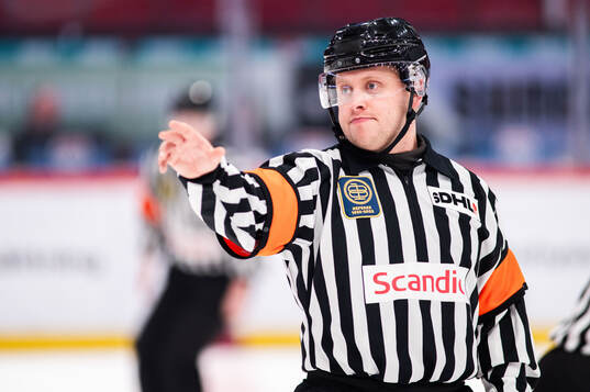 Domare Joakim Flink