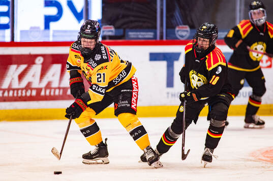 Bläddra bland fler bilder av Ishockey, SDHL, Brynäs - Luleå