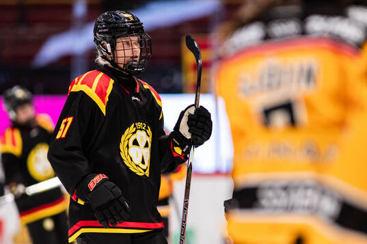 Brynäs Maja Ålenius
