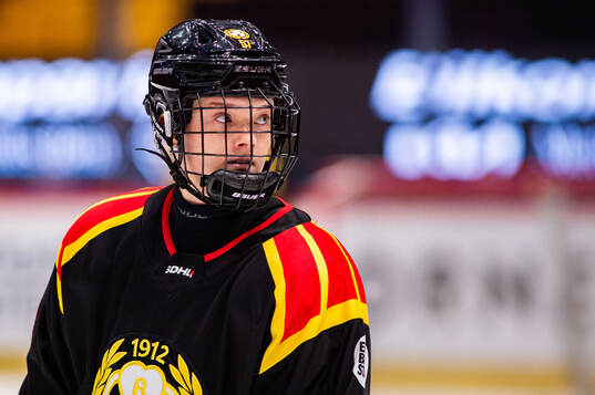 Brynäs Maja Ålenius