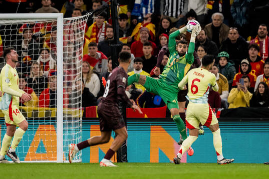David Raya of Spain