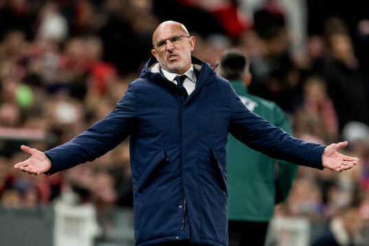 Head coach Luis de la Fuente of Spain