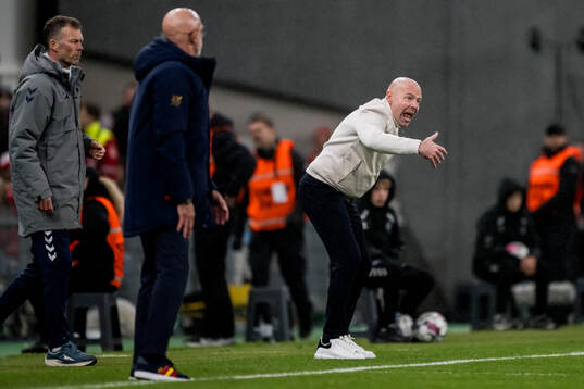 Head coach Brian Riemer of Denmark