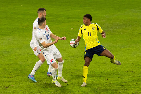 Laszlo Benes of Slovakia and Niclas Eliasson of Sweden