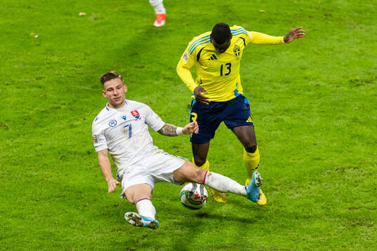 Tomas Suslov of Slovakia and Ken Sema of Sweden