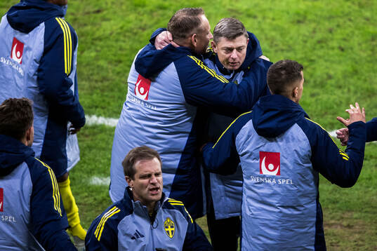 Head coach Jon Dahl Tomasson of Sweden