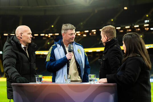 Head coach Jon Dahl Tomasson of Sweden is interviewed in