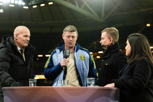 Head coach Jon Dahl Tomasson of Sweden is interviewed in
