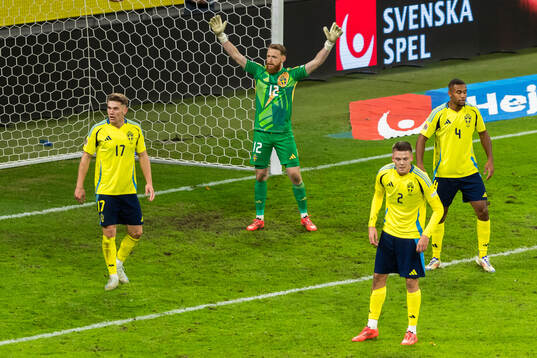 Goalkeeper Viktor Johansson of Sweden