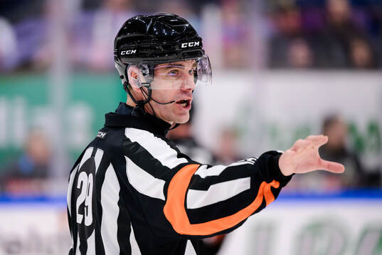 Domare Richard Magnusson