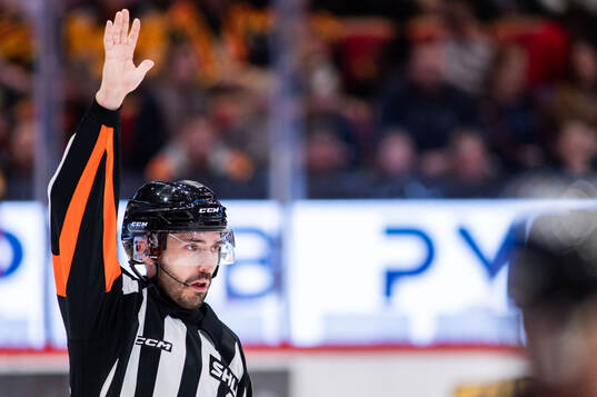 Domare Mattias Enroth