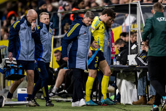 Head coach Jon Dahl Tomasson and Victor Nilsson Lindelöf