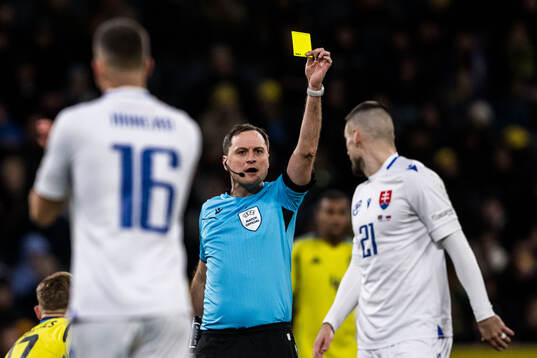 Referee Mykola Balakin